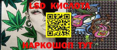 прущие крисы Нальчик